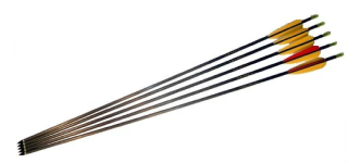 Carbon Arrows